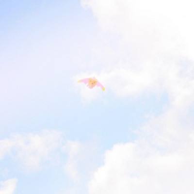 牧神诀手游(暂未上线)v1.0.2 安卓版